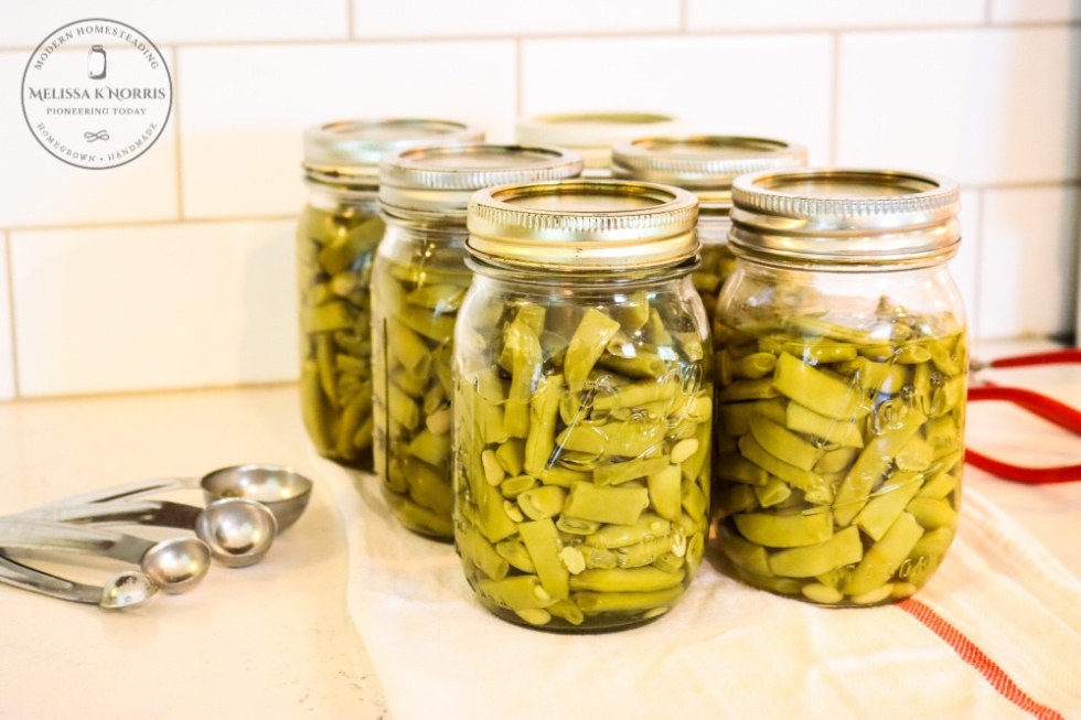 Backdate 3 How To Can Green Beans The Easy Way – Raw Pack