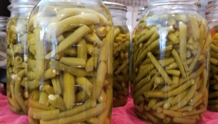 Easy Peasy Pressure Cooker Green Bean Canning Guide: Preserving Your Harvest In A Snap!