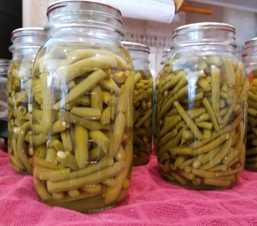 Backdate 4 Canning Green Beans