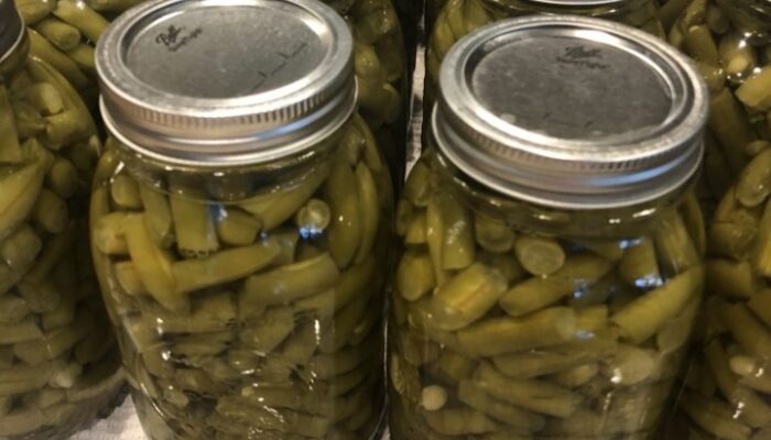 Easy Peasy Pressure Cooker Green Bean Canning Guide For Beginners