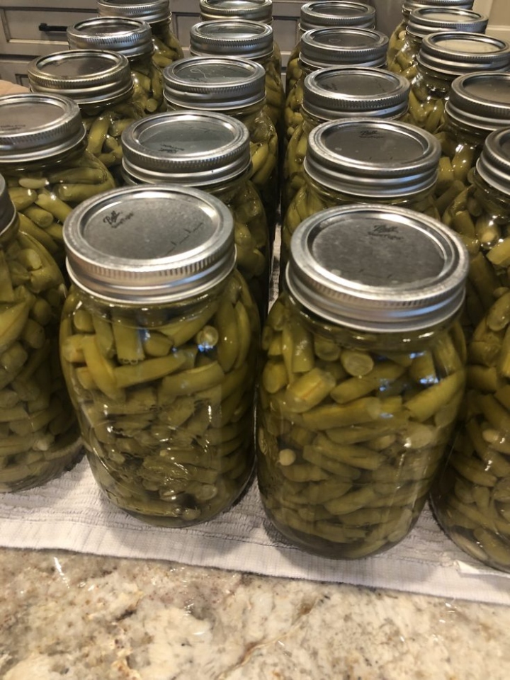 Easy Peasy Pressure Cooker Green Bean Canning Guide For Beginners