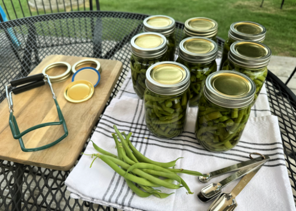 Easy Peasy: Canning Green Beans In A Pressure Cooker Made Simple!