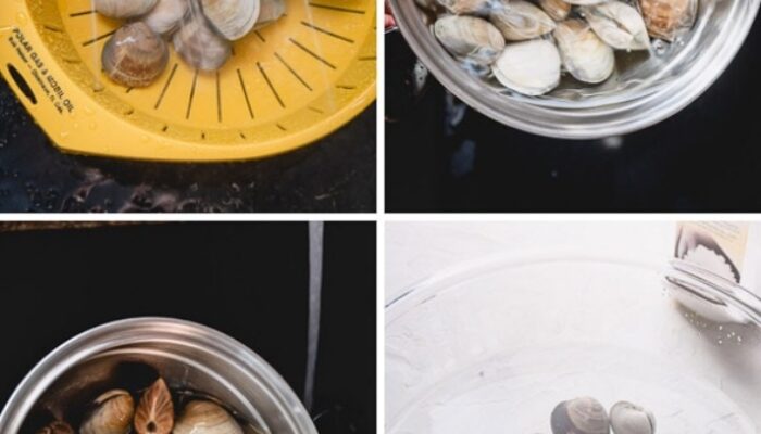 Easy Peasy: How To Clean Clams Like A Pro Before Cooking