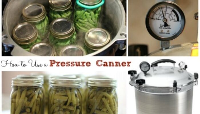 Canning Made Easy: How To Use A Pressure Cooker For Preserving Your Favorite Foods