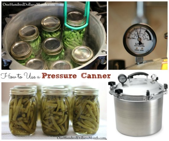 Canning Made Easy: How To Use A Pressure Cooker For Preserving Your Favorite Foods