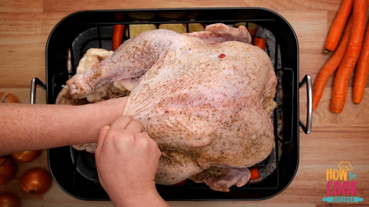 Thanksgiving Feast: Mastering The Art Of Cooking A 17 Pound Turkey